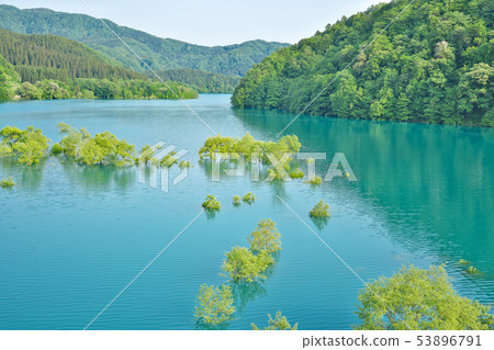 [Lake Sensen Tamagawa of emerald green] Lake Tazawa, Senboku City, Akita Tamagawa Shin Tamagawa Ohashi 53896791