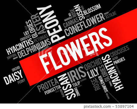 Flowers word cloud collage Flowers word cloud collage 53897104
