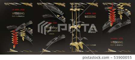 Tropical black and gold leaves on dark background Tropical black and gold leaves on dark background 53900055
