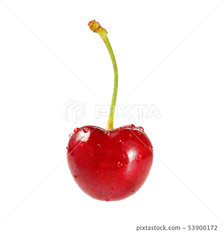 Red cherry, water drops, isolated on white. 53900172