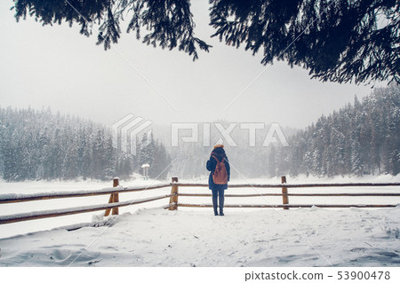 A young girl is having a walk through a thick forest during a beautiful winter day 53900478