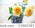 Rose of yellow 53902383
