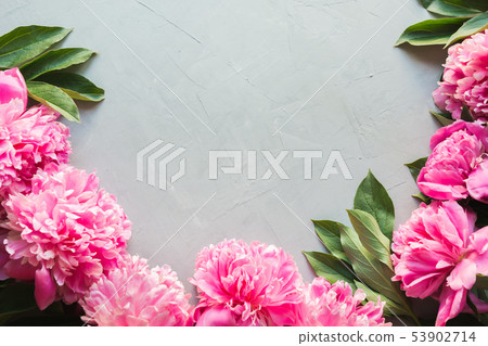 Beautiful pink peony flowers as frame on grey. Beautiful pink peony flowers as frame on grey. 53902714