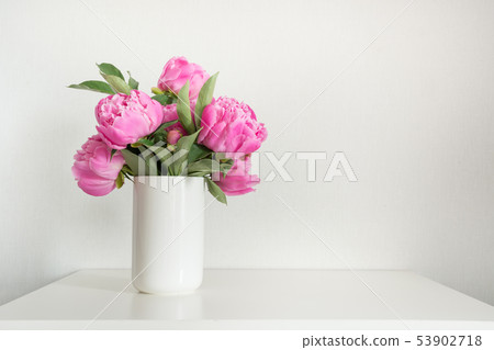 Pink peony in vase on white. Copy space for text. Pink peony in vase on white. Copy space for text. 53902718