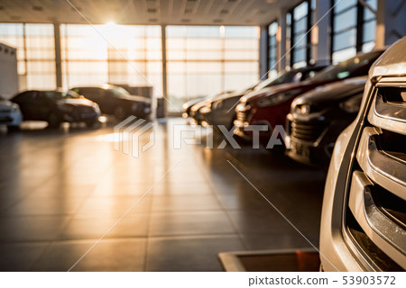 New cars at sunlit dealer showroom close view New cars at sunlit dealer showroom close view 53903572