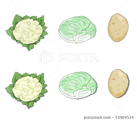 花椰菜土豆 花椰菜土豆 53904524