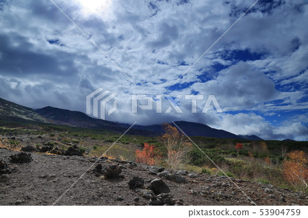 [Flat-rate] Tokachi-dake Mochidakedai no autumn leaves (Hokkaido / Bieicho / Mochidakedai) 53904759