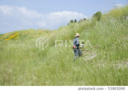 Weeding image, weeding image Weeding image, weeding image 53905090