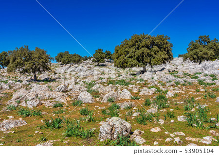 Landscape near Cuevas del Becerro in province Malaga, Andalusia, Spain Landscape near Cuevas del Becerro in province Malaga, Andalusia, Spain 53905104