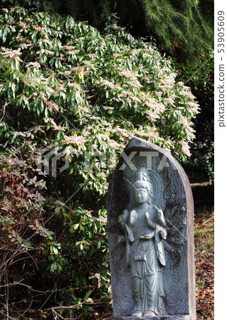 石佛和神廟 53905609