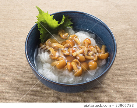 磨碎滑子蘑 53905788
