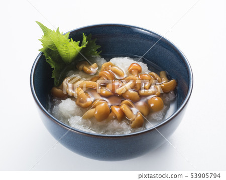 Nanomusho Nanomusho 53905794