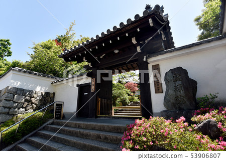 東福寺Reigenin 東福寺Reigenin 53906807