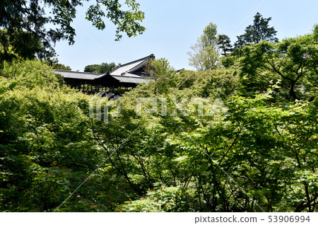 Tōfukuji Temp bridge of fresh green Tōfukuji Temp bridge of fresh green 53906994
