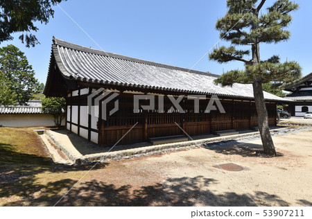 Tofukuji Temple Toshi Tofukuji Temple Toshi 53907211