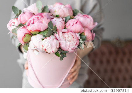 Pink peonies in womans hands. Beautiful peony flower for catalog or online store. Floral shop Pink peonies in womans hands. Beautiful peony flower for catalog or online store. Floral shop 53907214