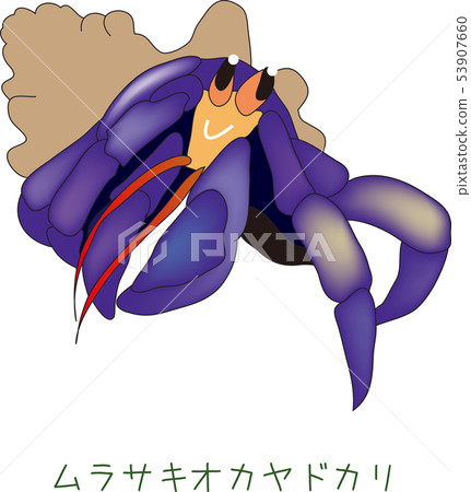 Amami's animal Murasaki Okadari 53907660