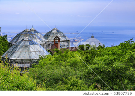  神戶布引香草園 53907759