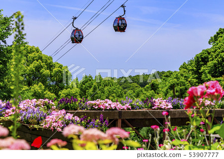 Kobe Nunobiki Herb Garden Kobe Nunobiki Herb Garden 53907777