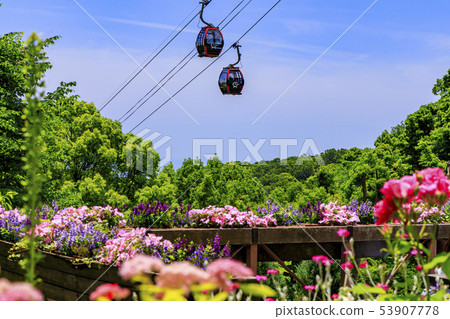  神戶布引香草園 53907778