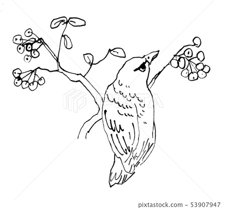 樹堅果和小雞 樹堅果和小雞 53907947