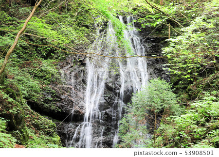 Immovable Falls Immovable Falls 53908501