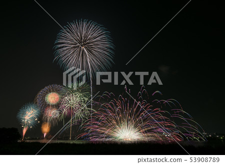 酒井市煙花節Sak市千葉縣阿壩市千葉縣 53908789