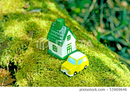 溫室和汽車 53909646