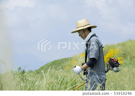 Weeding image, weeding image 53910246