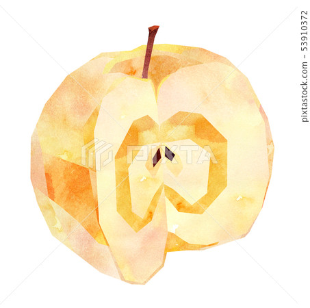 Apple, yellow, cut Apple, yellow, cut 53910372