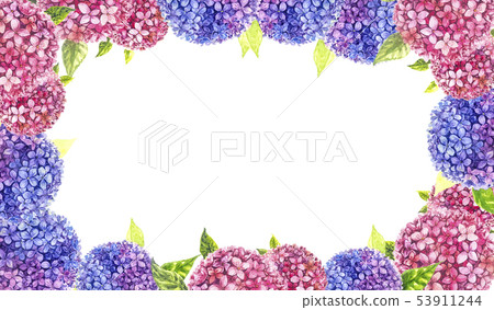 Hydrangea painting with watercolor for background. Hydrangea painting with watercolor for background. 53911244