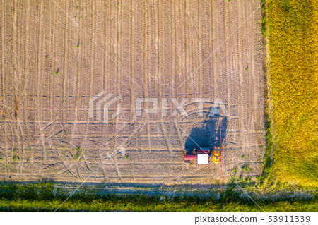 Tractor spraying herbicide on young corn field, glyphosate weed control, GMO treated seeds 53911339