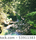 Forest_CANADA /林恩峽谷公園 53911383