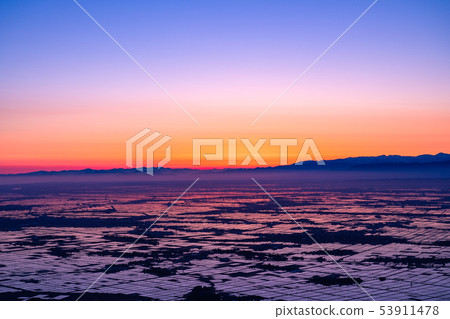 《Niigata Prefecture》 Echigo Plain at dawn 53911478