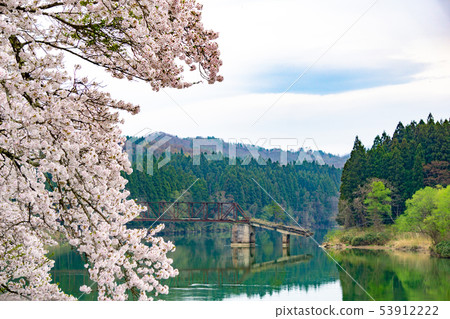 Broken bridge and cherry blossoms Broken bridge and cherry blossoms 53912222