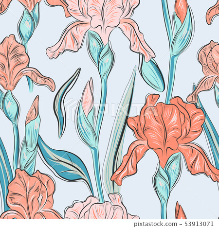 Summer iris blossom hand drawn print. Modern bloom Summer iris blossom hand drawn print. Modern bloom 53913071