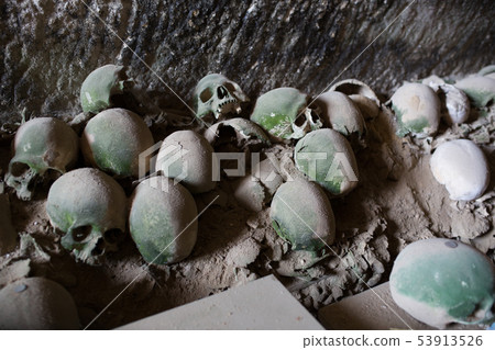 Skull and bones Skull and bones 53913526
