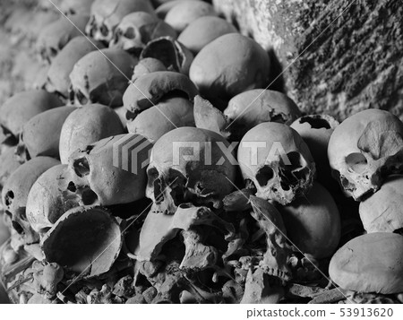 Skull and bones Skull and bones 53913620