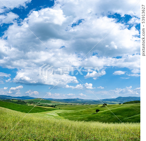 Tuscany landscape at sunrise. Typical for the Tuscany landscape at sunrise. Typical for the 53913627