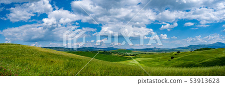 Tuscany landscape at sunrise. Typical for the Tuscany landscape at sunrise. Typical for the 53913628