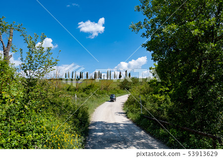 Tuscany landscape at sunrise. Typical for the Tuscany landscape at sunrise. Typical for the 53913629