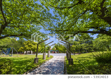 Sarue Onshi公園風景 53914013