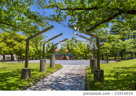 Sarue Onshi公園風景 53914014