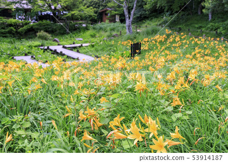 六甲高山植物園 六甲高山植物園 53914187