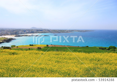 Hamduk beach, Suwoo-bong, beach, sea, wildflower, Hamduk beach, Suwoo-bong, beach, sea, wildflower, 53914288