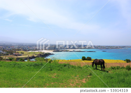 Hamduk beach, Suwoo-bong, beach, sea, wildflower, Hamduk beach, Suwoo-bong, beach, sea, wildflower, 53914319