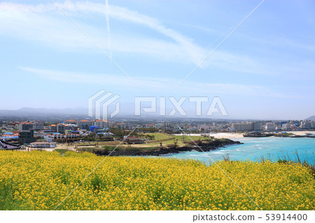 Hamduk Beach, Seoungbong, Sea, Wildflowers, Beaches, 53914400