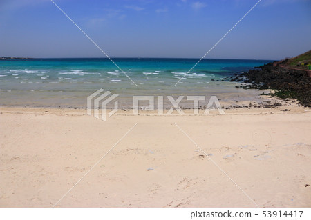 Hamduk Beach, Seoungbong, Sea, Wildflowers, Beaches, 53914417