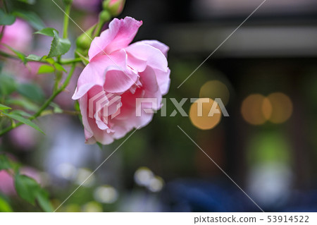 六甲音樂盒musium 六甲音樂盒musium 53914522