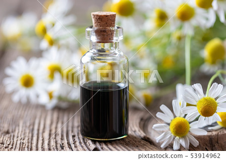 A bottle of dark blue chamomile essential oil A bottle of dark blue chamomile essential oil 53914962